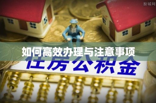 马村如何高效办理与注意事项
