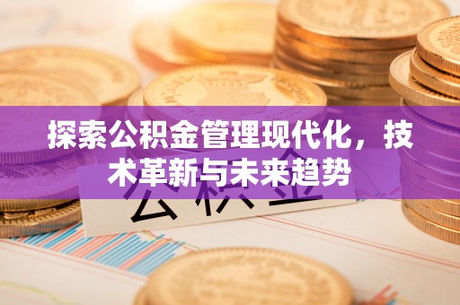 马村探索公积金管理现代化，技术革新与未来趋势