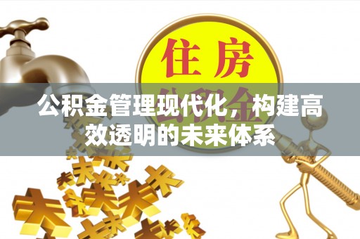 马村公积金管理现代化，构建高效透明的未来体系