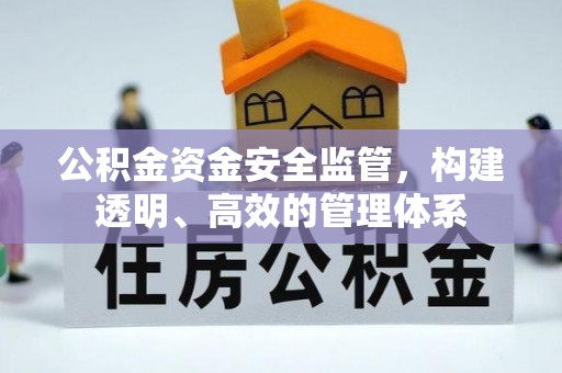 马村公积金资金安全监管，构建透明、高效的管理体系