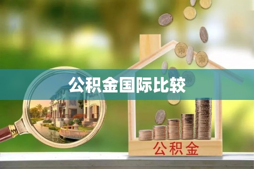 马村公积金国际比较